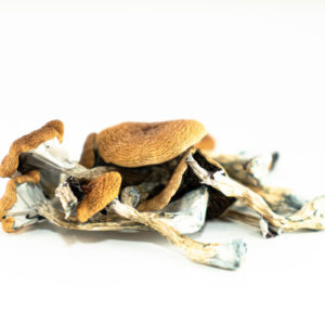 Brazilian Magic Mushroom UK